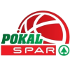 SLOVENIA: Slovenian Cup