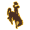 Wyoming W