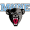 Maine Black Bears W