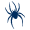 Richmond Spiders W