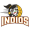Indios de Mayaguez