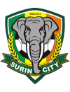 Surin City