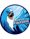 Adamson University