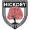 Hickory FC