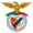 Benfica Castelo Branco