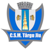 Csm Targu Jiu