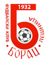 Borac Lesnica