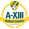 FV Austria Xiii