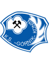 Gornik Konin