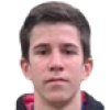 Nikolic M.