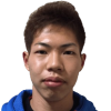 Inui Y.