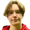 Heinonen A.