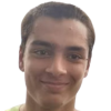 Crivellaro G.