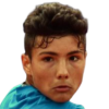 Kupcic J.