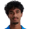 Tripathi A.